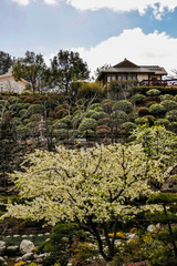 chinese temple in thailand