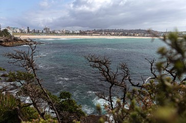 Bondi Beach on an afternoon with heavy dark clouds ready to rain, around trees that are out of focus giving focus to the direction of the beach.