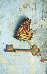 Vintage still life scene of a dead butterfly and old key on rustic aged blue paper and wood...