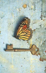 Vintage still life scene of a dead butterfly and old key on rustic aged blue paper and wood background. Unlocked hidden secrets, metamorphosis, freedom, nature and nostalgia concepts.