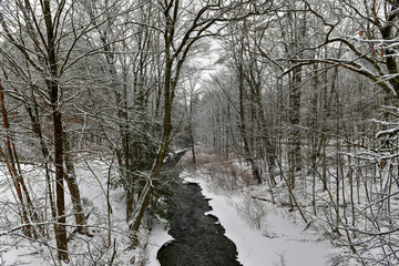 Mill Brook - New Hampshire