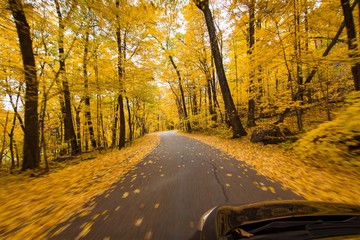 Driving in Autumn