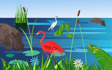 Pink flamingo and white heron birds stands on the lake waters, nature wildlife scene vector
