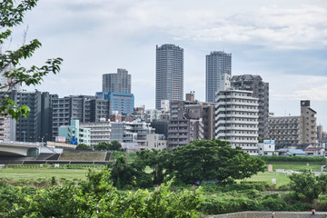 Distant view of Shinjuku skyscrapers across a green park