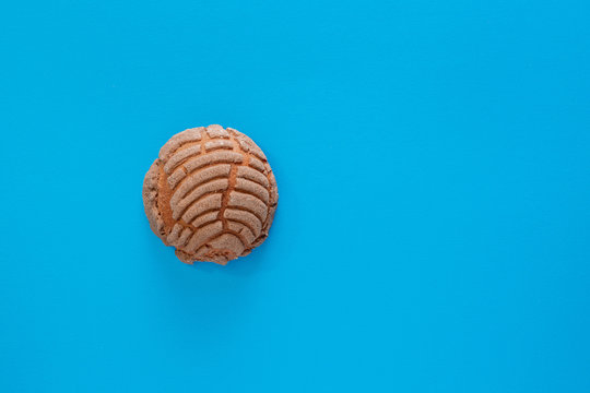 Concha Bread, Mexican Sweet Scone on Blue Surface.