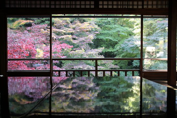 Rurikoin Temple, Kyoto, Japan