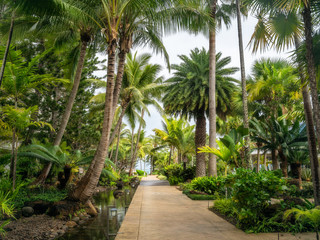 Fototapeta na wymiar Fresh tropical garden on a beautiful day with some rain in Noumea, French Polynesia, South Pacific Ocean.