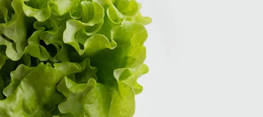 Poster fresh green salad on a white background © Yulia 