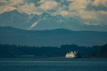 Olympics and Ferry 8