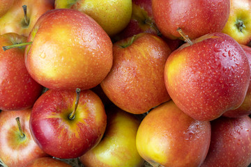 Juicy ripe apples background. Harvest of red apples closeup.