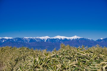 Fototapeta na wymiar 竜ヶ岳　南アルプス　雪山　風景　景色