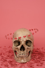 The replica of human skull with flying hoop of paper hearts isolated on a pink background. Valentine's day, love concept. Banner, poster, breaking, postcard. Copy space, place for text