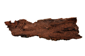 tree bark isolated on white background