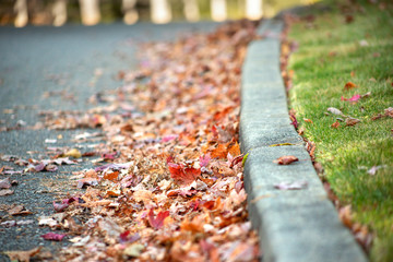 A low angle view of autumn foliage collected along the curb of a neighborhood street.