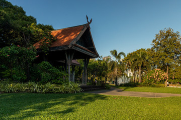 Lumpini PArk the best public park in Bangkok Thailand