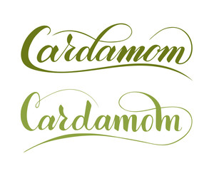 Vector hand written cardamom text isolated on white background. Kitchen healthy herbs and spices for cooking. Script brushpen lettering with flourishes. Handwriting for banner, poster, product label