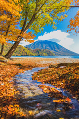 紅葉する中禅寺湖の千手ケ浜と男体山