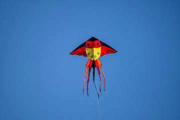Colorful red kite flying on the blue sky.