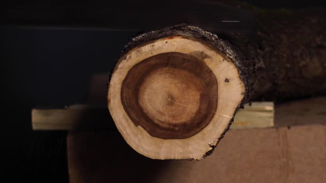 Watching a carpenter saw through a thick, large tree trunk on the end of a work table in their workshop