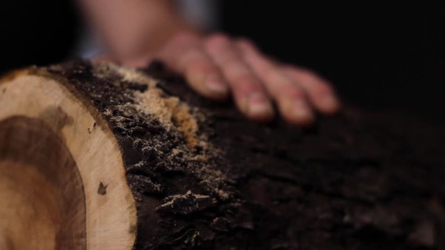 Extreme close up of a saw cutting through a thick tree log being held steady by a caucasian carpenter's hand, with sawdust coming out 