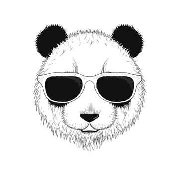 Portrait of a Panda in sunglasses.