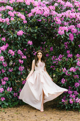 Fototapeta premium A girl in a long developing dress in the colors of rhododendron walks in the Park