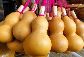 pack of brown calabash with pink rope