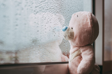 A toy pink sad bear is looking out the window and missing. Autumn rainy day. Raindrops on the...