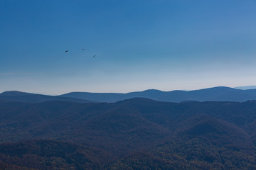 ravens over mountains © Adam Wasilewski