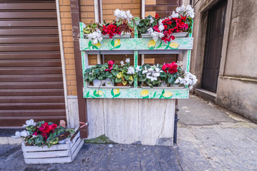 Fototapeta na wymiar Artifical flowers in the historic part of Randazzo city on Sicily Island in Italy
