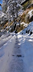 Fototapeta na wymiar Beautiful View of Shimla City After a Snowfall