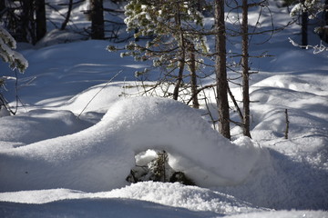 Toblach, Pustertal, Hochpustertal, Höhlensteintal, Winter, Schnee, Wald, Loipe, verschneit, zugeschneit, Bach, Wasser, Gebirgsbach, Lichtung, Waldlichtung, Dürrenstein, Alpen, Dolomiten, Sextener Dolo