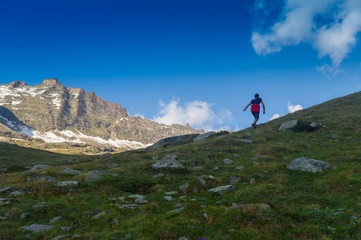 man running and climbing Alps mountains, Gran Paradiso. Italy