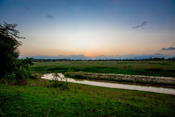 Natural panoramic nature background of rice fields, blown through the blurred cool air during the day, often seen in rural areas and scenic spots along the road.