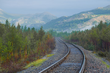 Misty summer morning in the Polar Urals. Section of the Vorkuta-Labytnangi railway, Russia