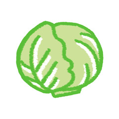 キャベツ