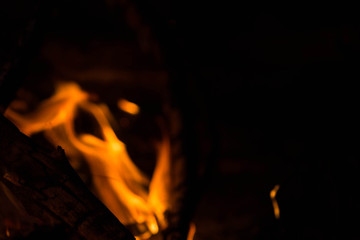 Close-up of burning bonfire. Nature abstract background