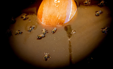 The natural yellow honey as sweet liquid food with bees on it