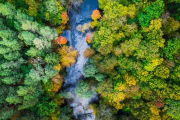 River and forest in autumn, view from above