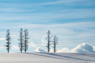 雪影の丘