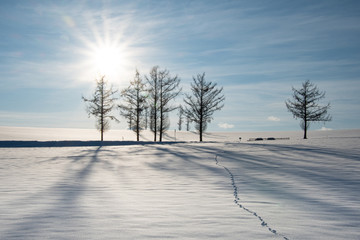 雪影の丘