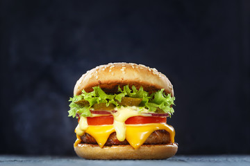 Delicious burger with lettuce, cheese, onion and tomato on dark background