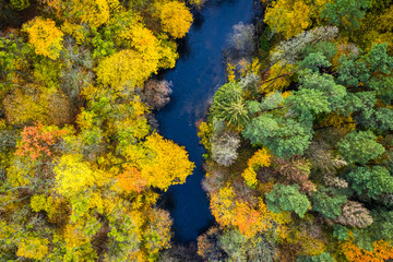 River and yellow forest in cloudy day, view from above