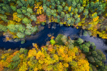 Obraz na płótnie Canvas Blue river and colorful forest, view from above