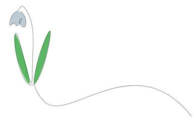 Flower background with snowdrop vector illustration