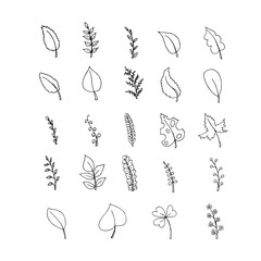Leaves monochrome set. Hand drawn clip art stock vector graphic ink design element for web, for print, for textile