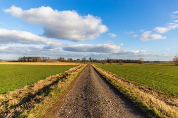 Rural road in South Bohemian region, Czech Republic.