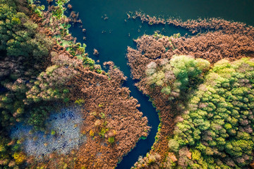 Top down view of autumn lake and swamp