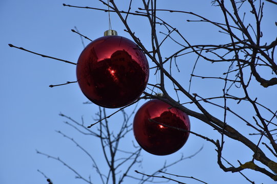 Weihnachten, Kugel, Christbaum, Christbaumkugel, Christbaumkugeln, Schmuck, Weihnachtsschmuck, Ast, Strauch, &Auml;ste, Kahl, Fest, Dezember, Winter, Glas, Glaskugel, Schm&uuml;cken, Fest, festlich, Behang, Win