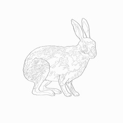 Vector illustration. Hare. Image, black line.